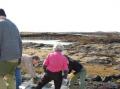 Gammel tang tas ut av husene. Robert, Mathias,Ragnhild,Johanna, Grete og Kyle